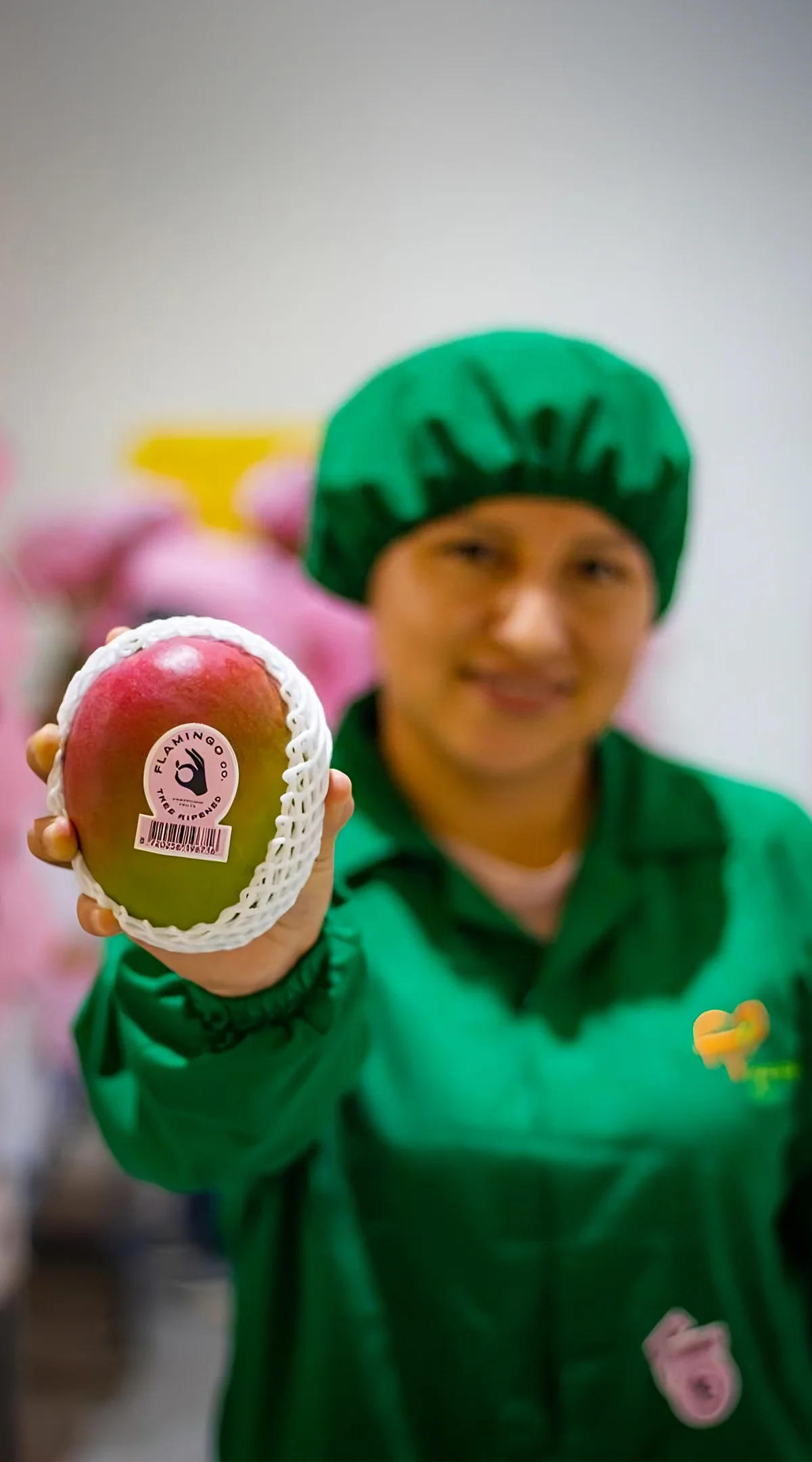 Flamingo mango held at origin