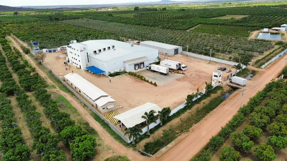 Packing facility and transport at origin in Brazil