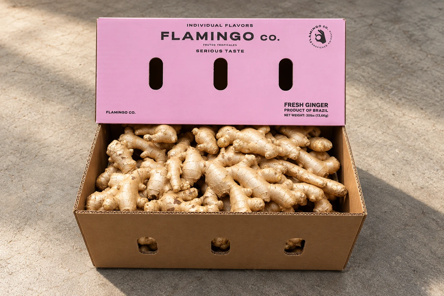 Ginger in Flamingo Co. packaging
