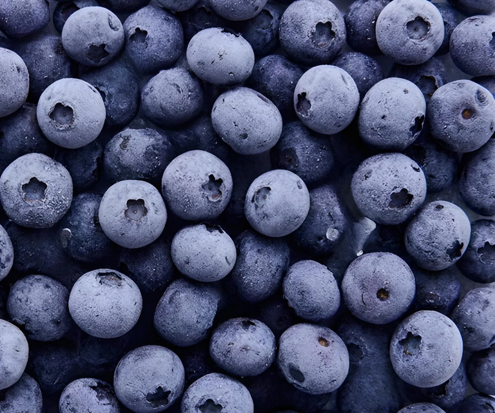 Blueberries from the supplied frozen product range