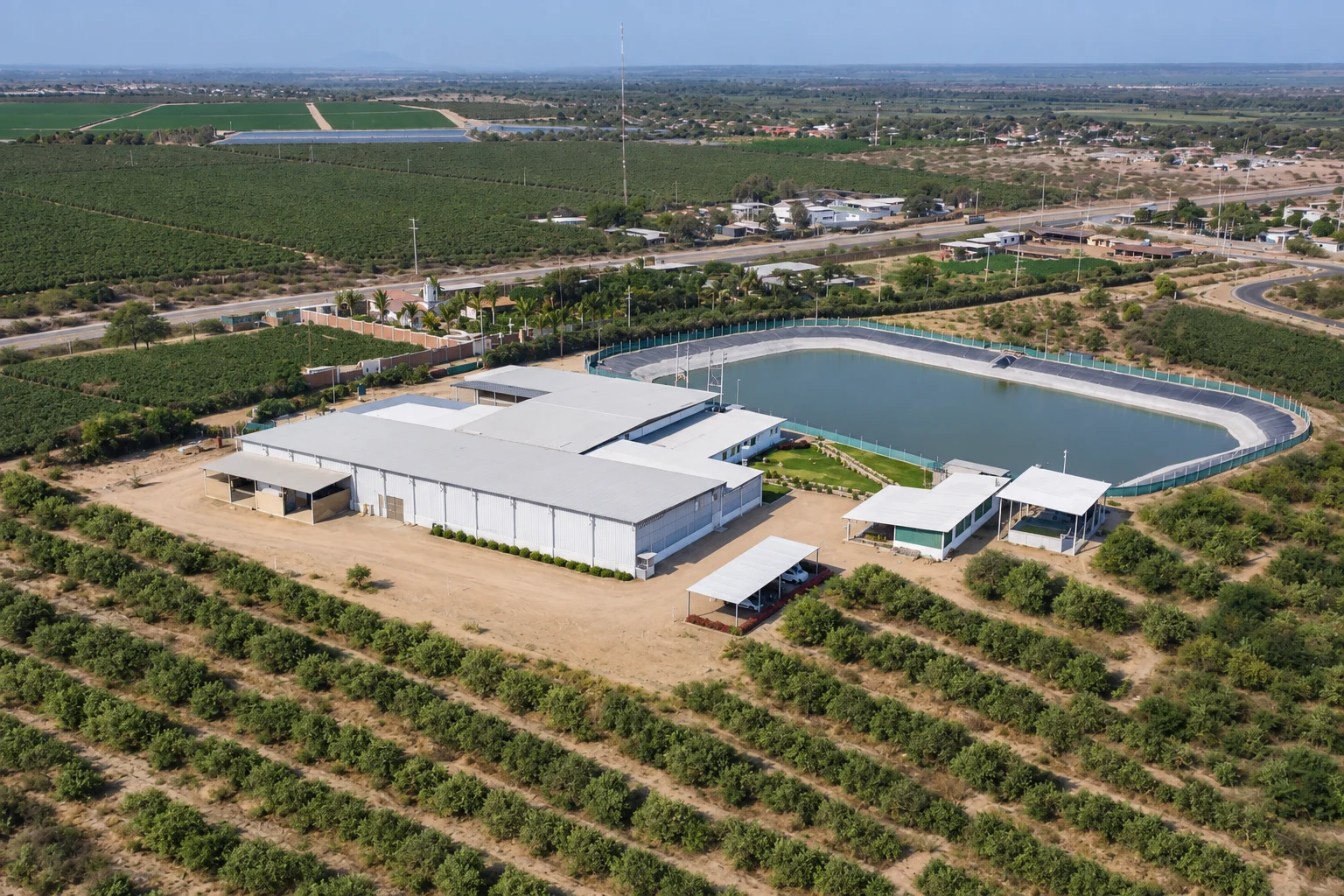 Frutos Tropicales facility and growing region in Peru