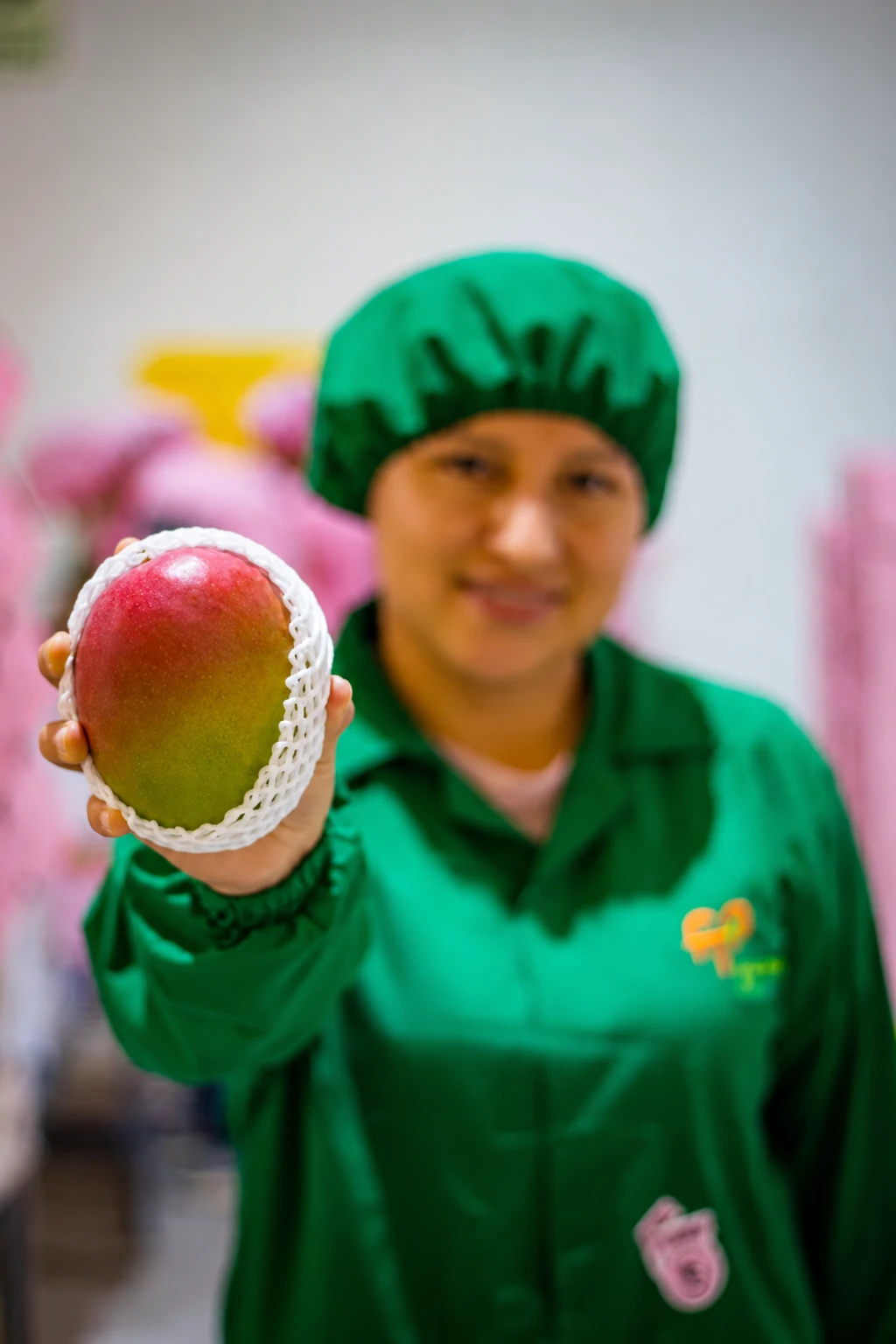 Packing team member holding a mango in protective netting