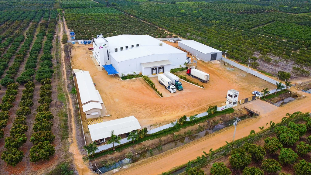 Tropical-fruit facility among orchards in Brazil